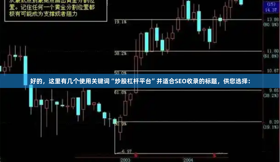 好的，这里有几个使用关键词“炒股杠杆平台”并适合SEO收录的标题，供您选择：